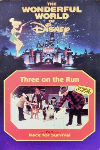 Race for Survival (1978) poster