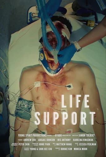 Life Support (2025) poster