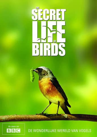 Iolo's Secret Life of Birds (2010) poster