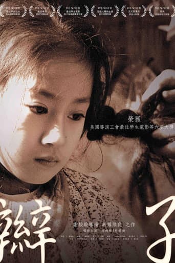 Braid (2011) poster