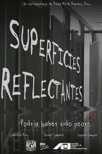 Reflective Surfaces (2025) poster