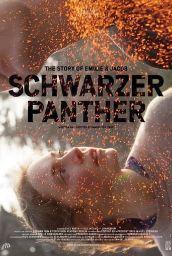 Black Panther (2013) poster