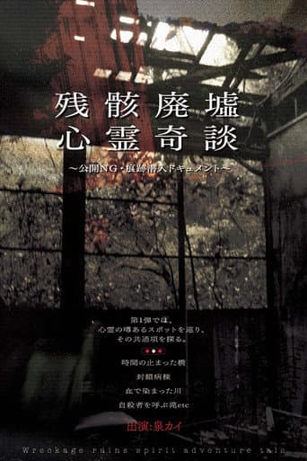 Remnants: Ruins of Spirit Tales - Unreleased Footage & Infiltration Document (2009) poster