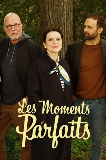 Les moments parfaits (2021) poster