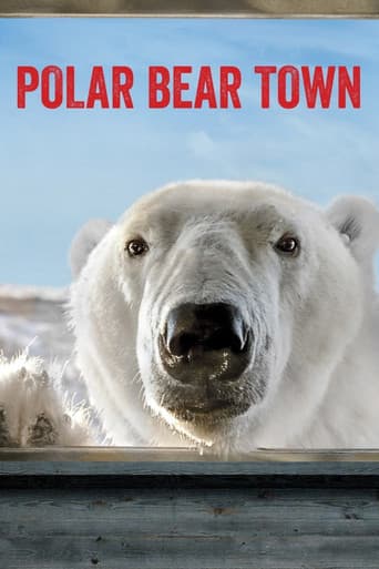 Polar Bear Town (2015) poster