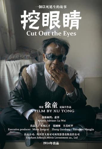 Cut Out The Eyes (2014) poster