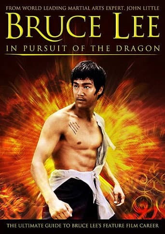 Bruce Lee: In Pursuit of the Dragon (2011) poster