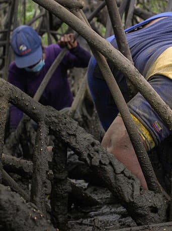 Mangrove Women (2023) poster