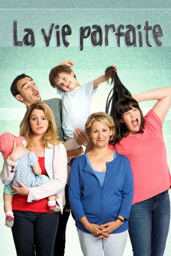La vie parfaite (2013) poster