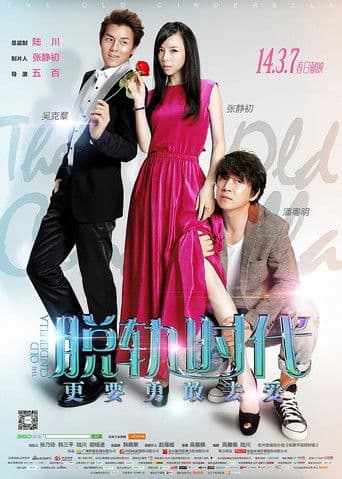 The Old Cinderella (2014) poster
