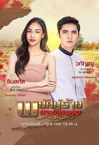 Mr. Rose: The Secret Spy (2022) poster