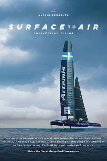 Surface to Air (2017) poster