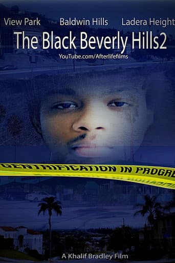 Black Beverly Hills 2 (2020) poster