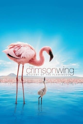 The Crimson Wing: Mystery of the Flamingos (2008) poster