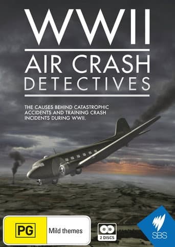 WWII Air Crash Detectives (2014) poster