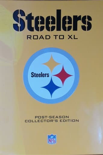 Pittsburgh Steelers Road to Super Bowl XL (2006) poster
