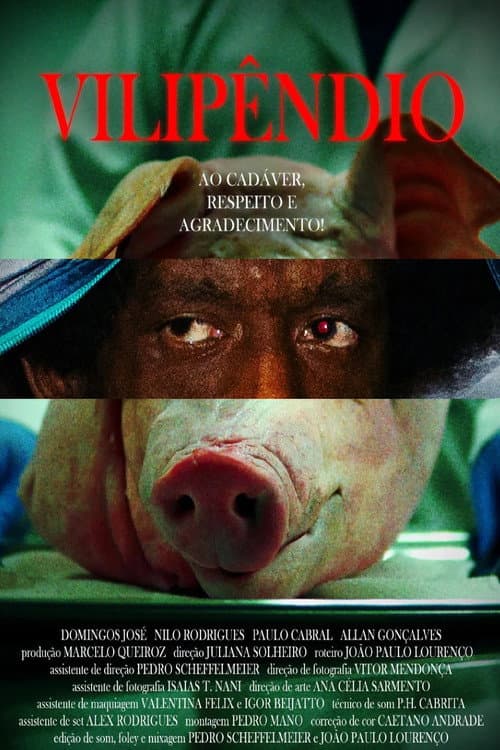 Vilipêndio (2025) poster