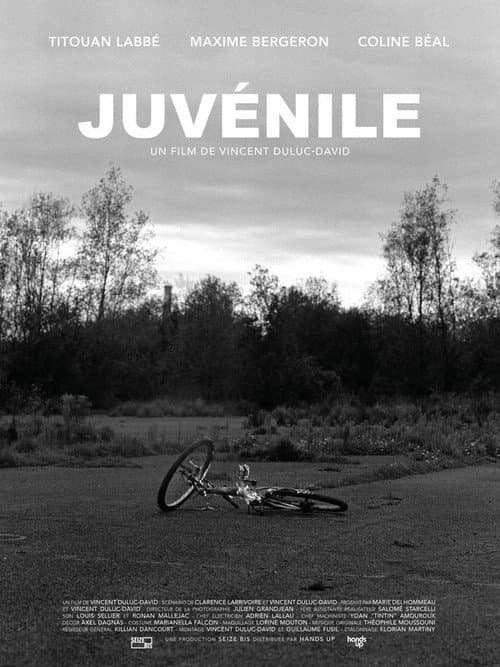 Youthful (2021) poster