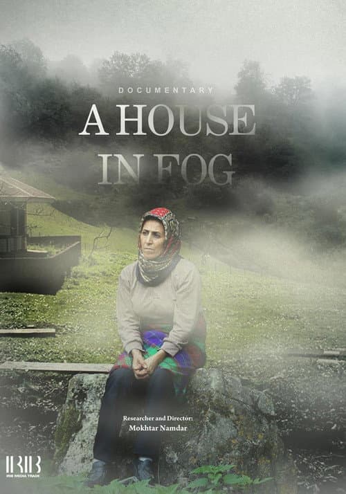 A House In Fog poster