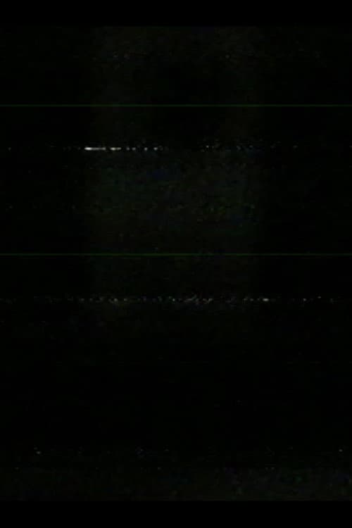 window at night poster