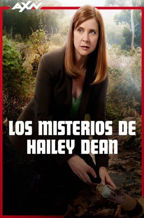 Hailey Dean Mystery (2016) poster