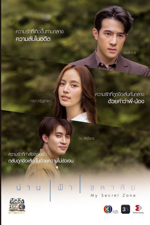 My Secret Zone (2024) poster