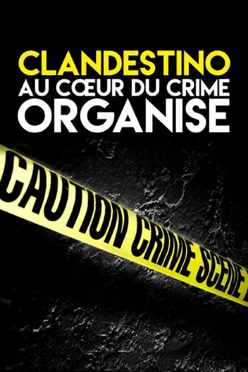 Clandestino (2016) poster
