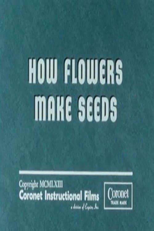 How Flowers Make Seeds poster