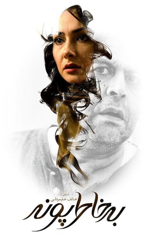 For Pooneh's Sake (2013) poster