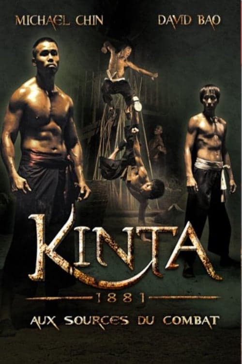 Four Dragons (2008) poster