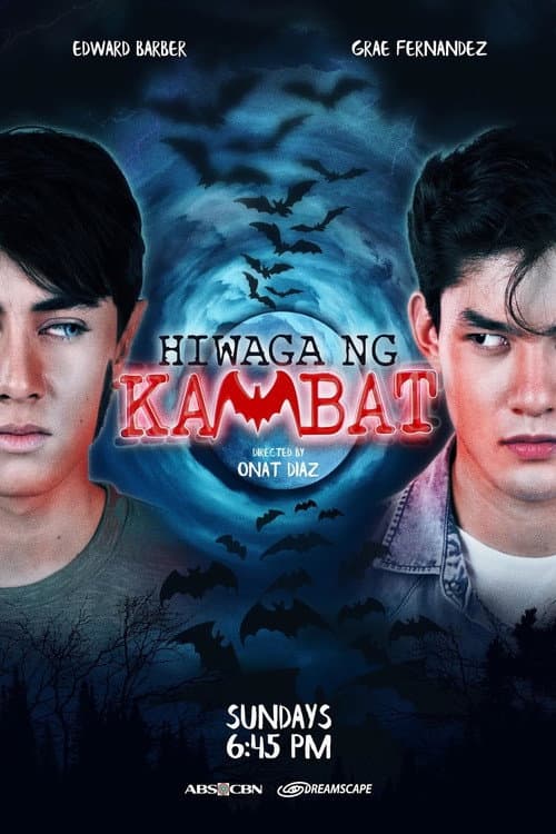 Mystery of the Twin Bat poster