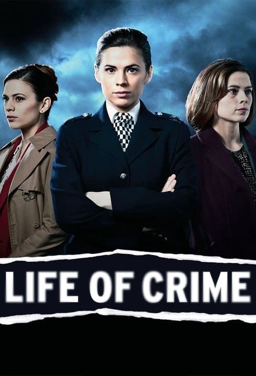 Life of Crime (2013) poster