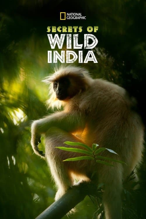 Secrets of Wild India (2012) poster