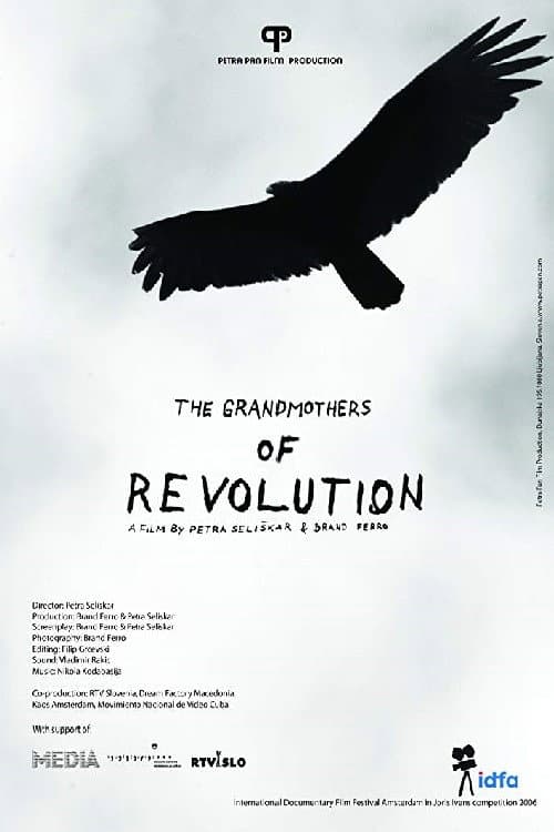 The Grandmothers of the Revolution (2006) poster