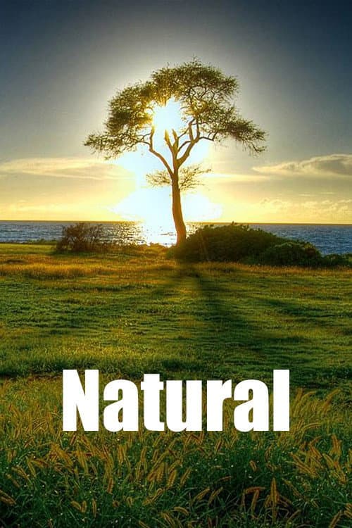 Natural (2020) poster
