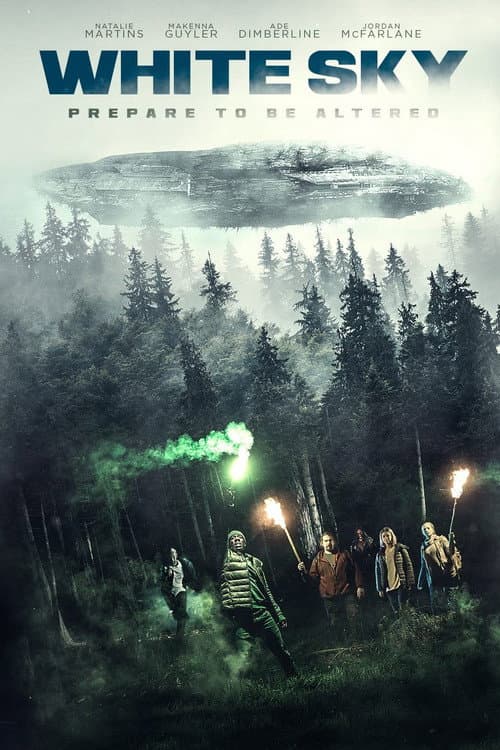 White Sky (2021) poster