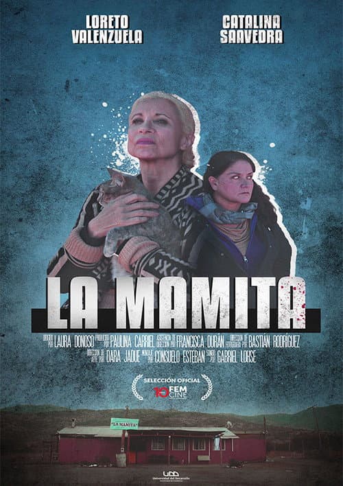 La Mamita (2020) poster