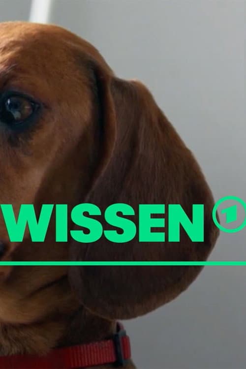 [W] wie Wissen (2003) poster