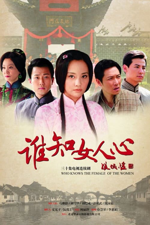 谁知女人心 (2010) poster
