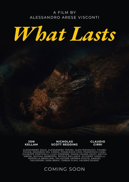 What Lasts poster