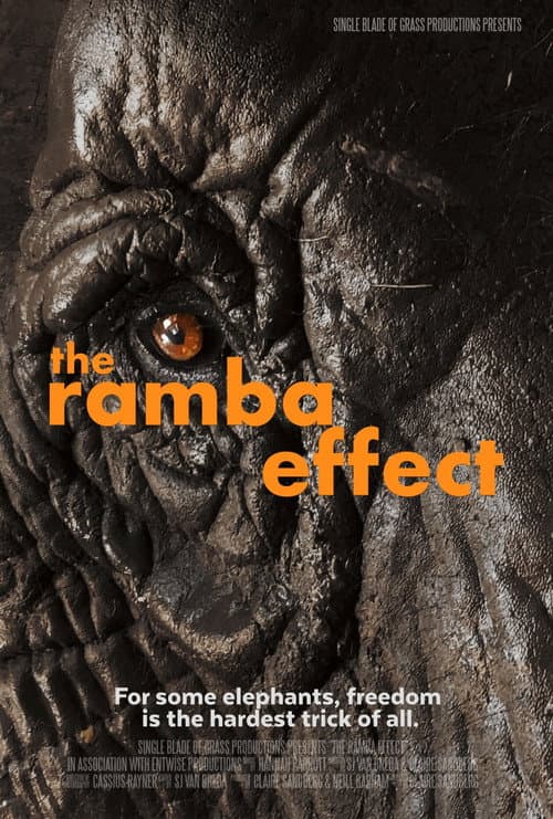 The Ramba Effect poster