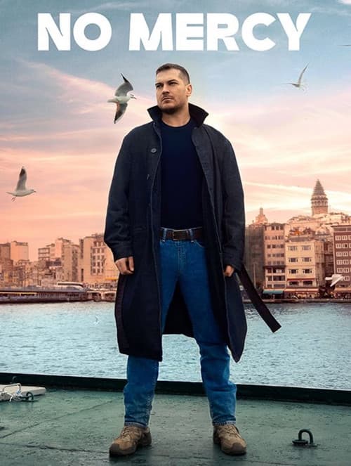 Gaddar (2024) poster