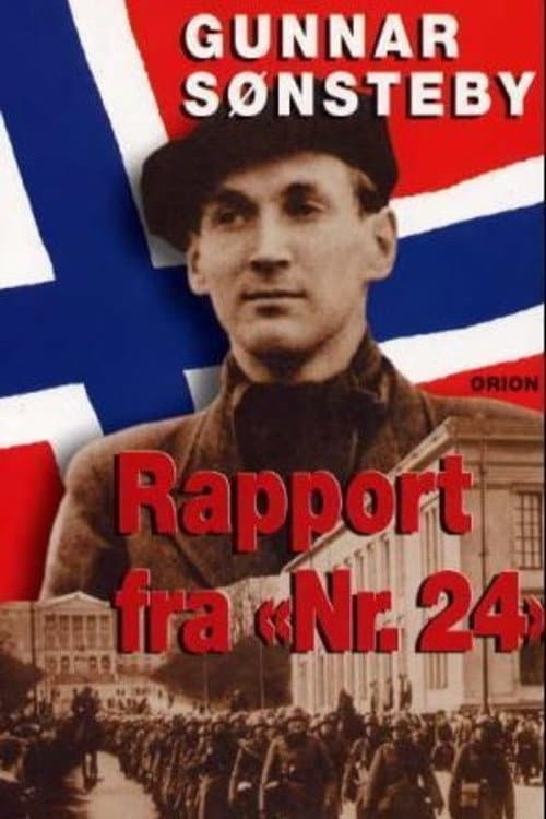 Rapport fra "Nr. 24" (1994) poster