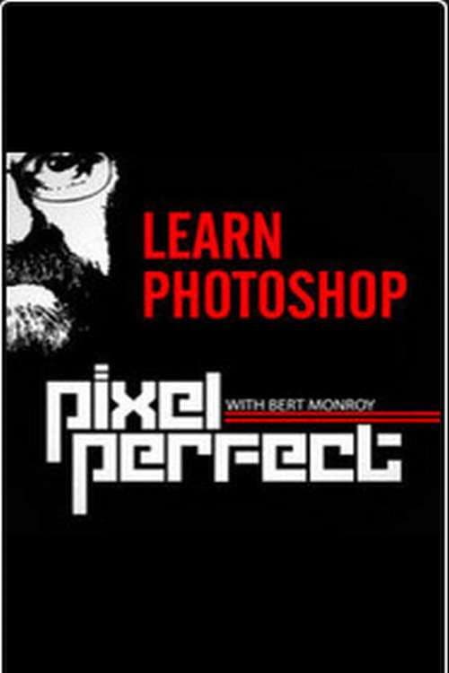 Pixel Perfect (2006) poster