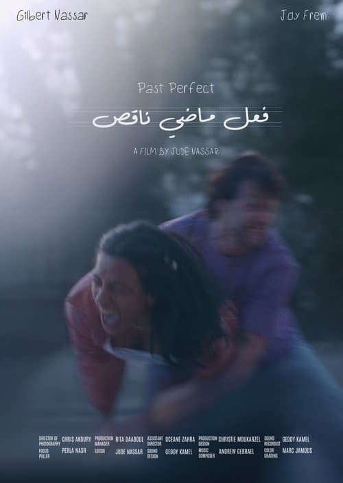 Past Perfect poster