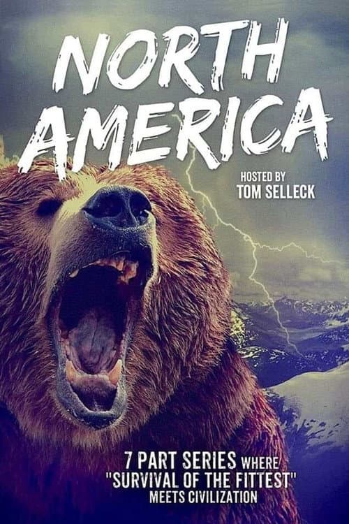 Last Train to North America (2026) poster