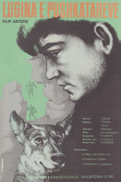 Valley of the Riflemen (1970) poster