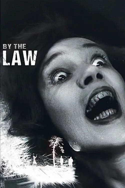 By the Law poster