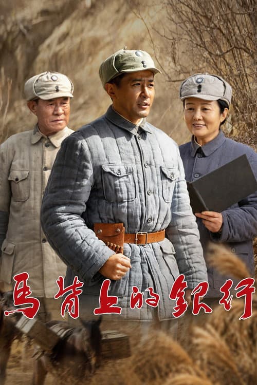 马背上的银行 (2026) poster