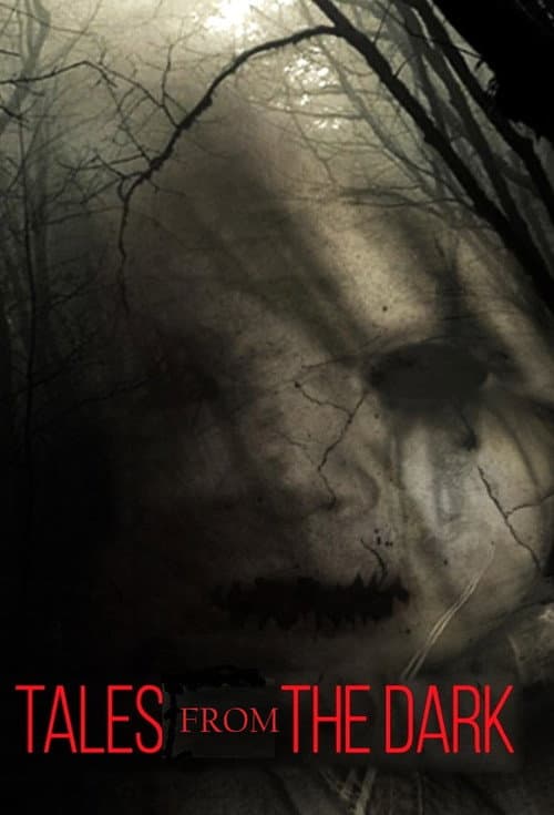 Tales From the Dark (2013) poster